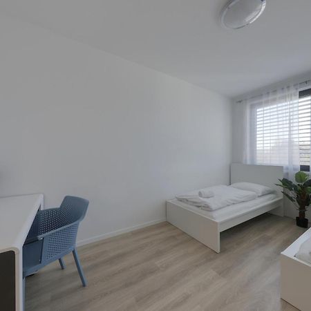 Bazova Apartment With Free Parking Bratislava Eksteriør billede